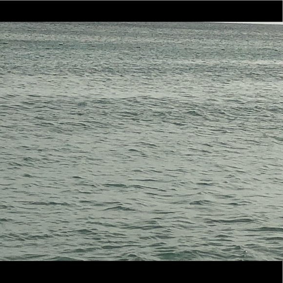 Meet your Posher, Hector - Picture 3 of 3